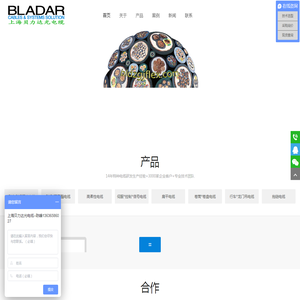 贝力达/BLADAR/BLDZGJFLEX