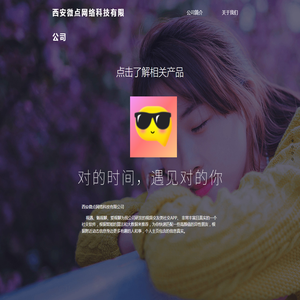 西安微点网络科技有限公司